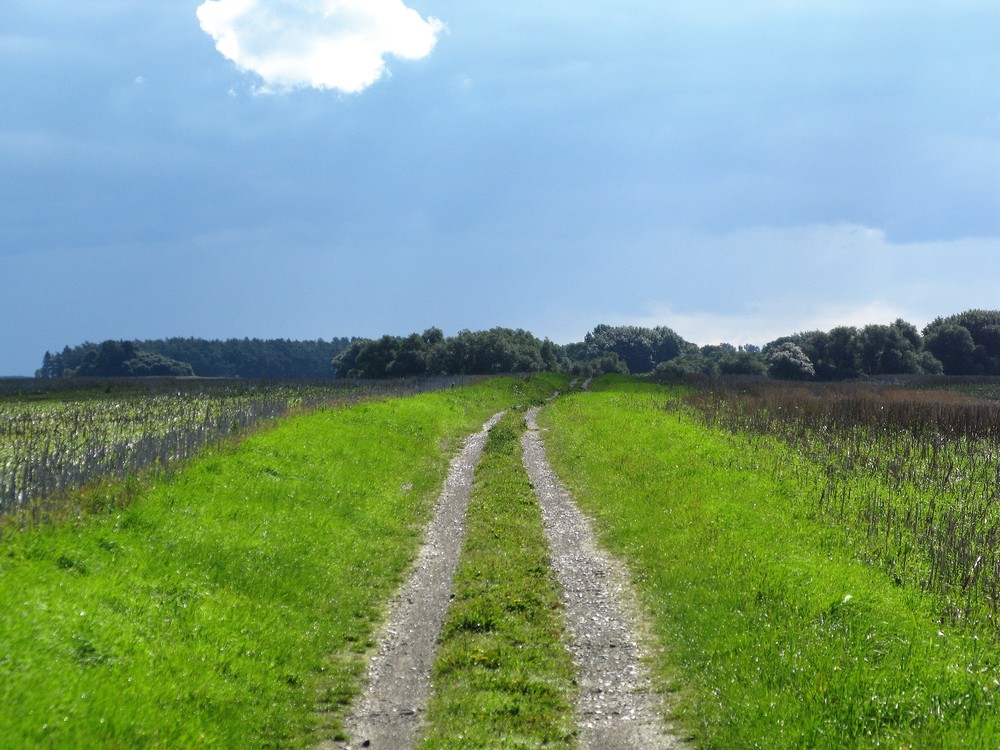 Weg in einsamer Landschaft / Robert Mitscha-Eibl/Kathpress
