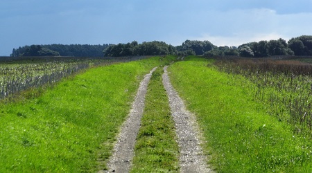 Weg in einsamer Landschaft