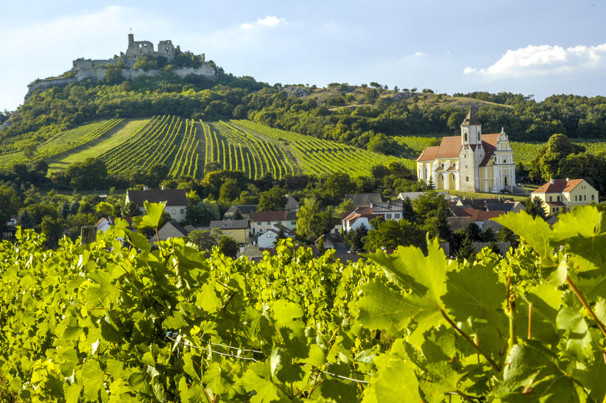 Weinregion Falkenstein im Weinviertel, Österreich, Niederösterreich, Weinviertel, Falkenstein